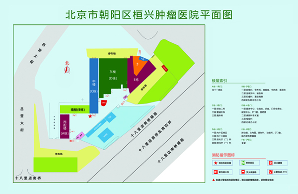 大鸡巴插逼免费视频北京市朝阳区桓兴肿瘤医院平面图